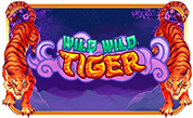 Wild Wild Tiger